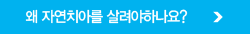 왜 자연치아를 살려야하나요?